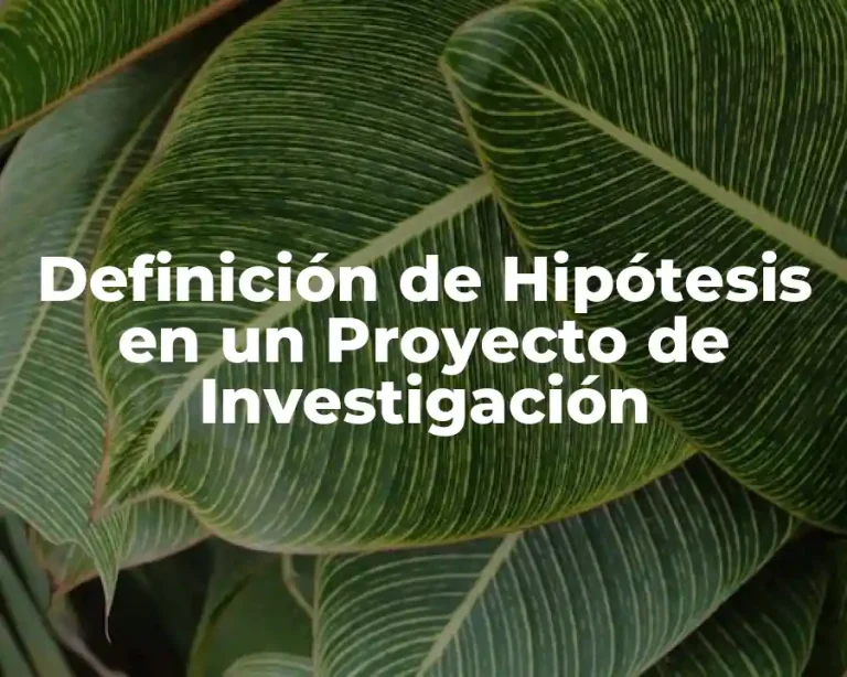 Definición de Hipótesis en un Proyecto de Investigación