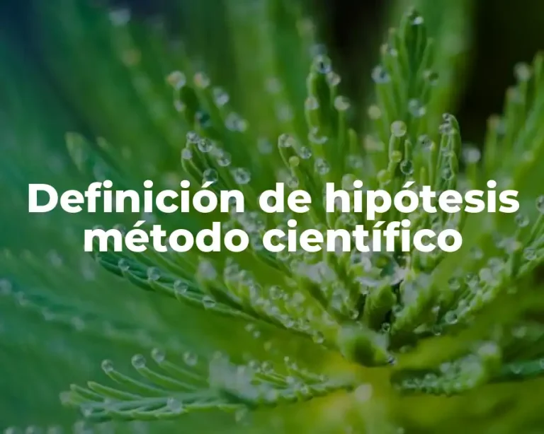 Definición de hipótesis método científico