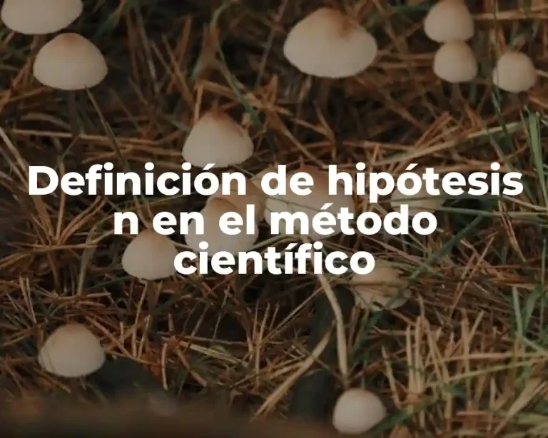Definición de hipótesis n en el método científico