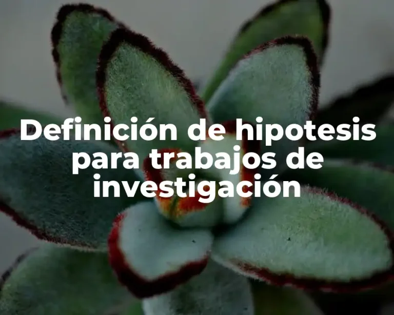 Definición de hipotesis para trabajos de investigación