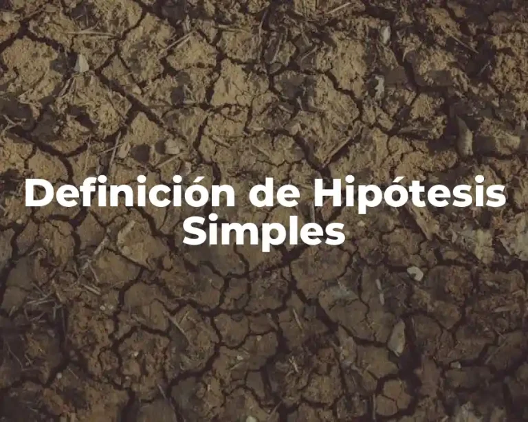 Definición de Hipótesis Simples