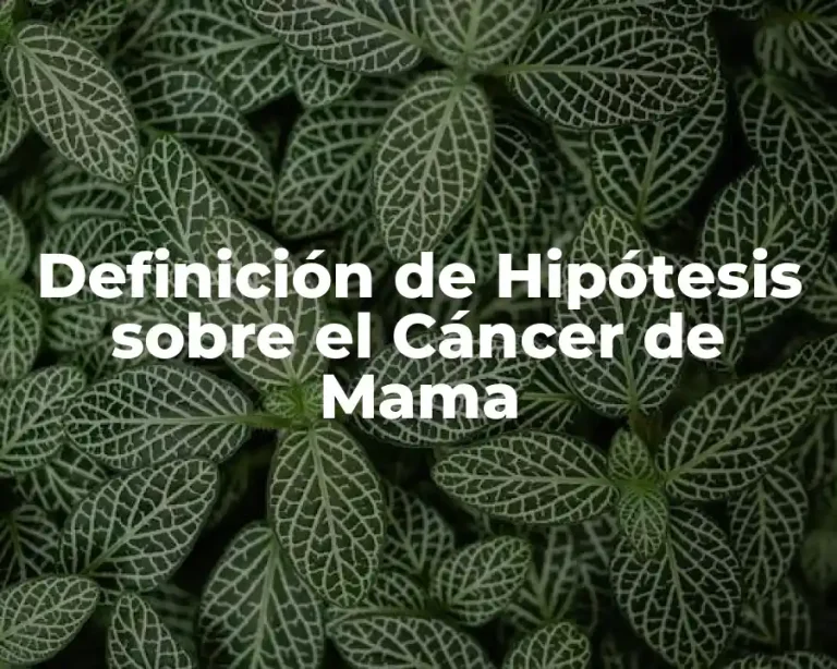 Definición de Hipótesis sobre el Cáncer de Mama