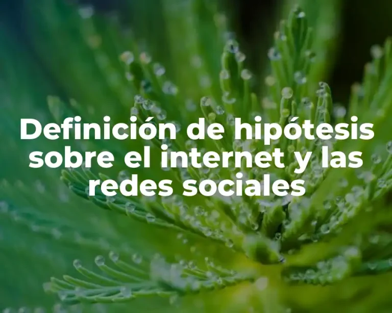Definición de hipótesis sobre el internet y las redes sociales