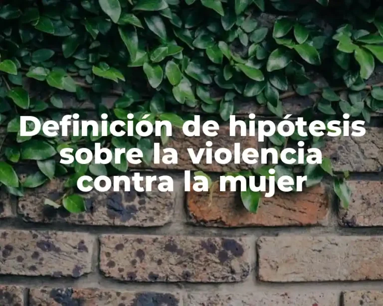 Definición de hipótesis sobre la violencia contra la mujer