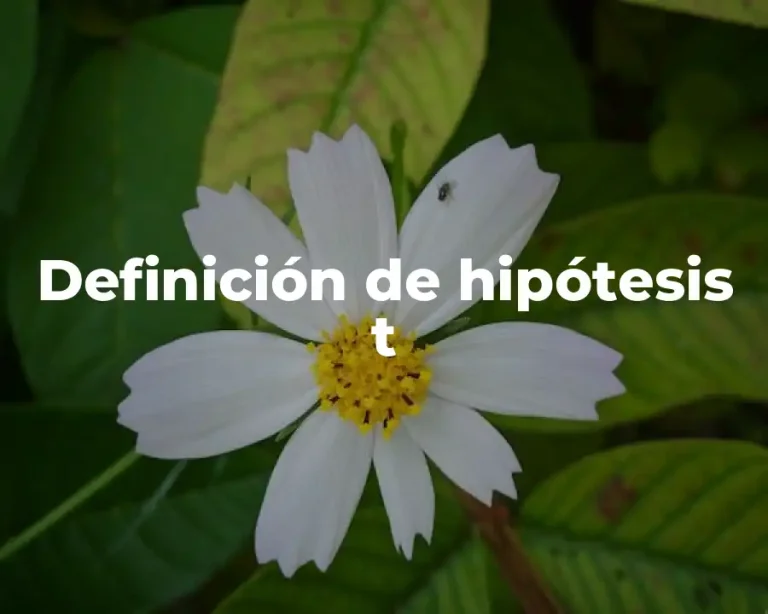 Definición de hipótesis t