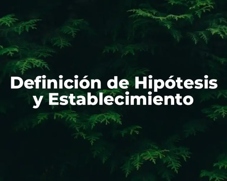Definición de Hipótesis y Establecimiento