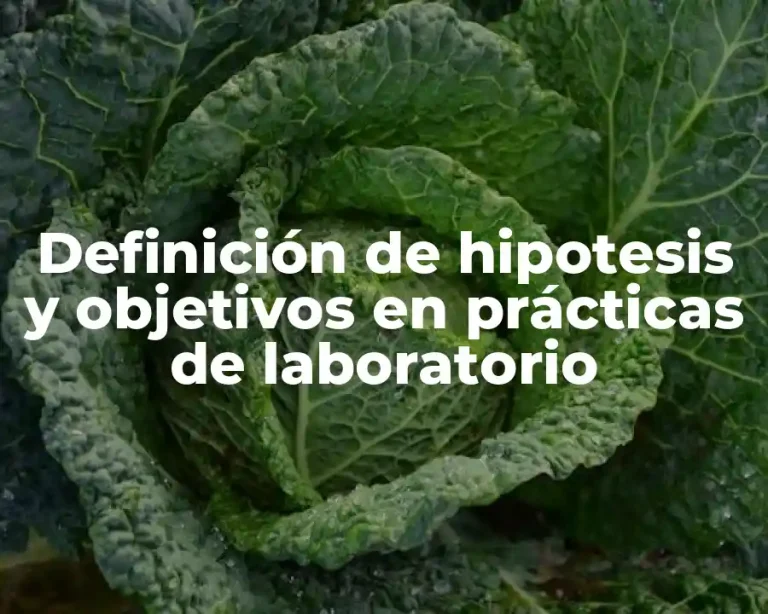 Definición de hipotesis y objetivos en prácticas de laboratorio
