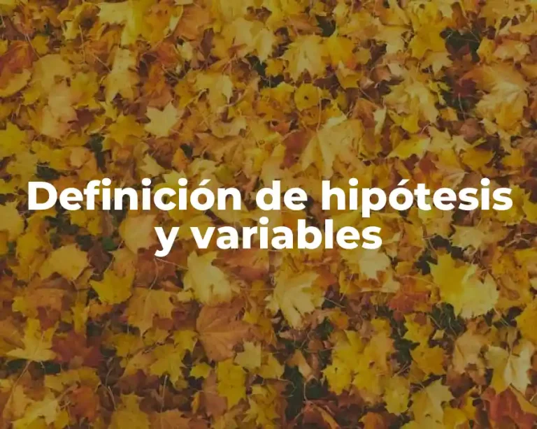Definición de hipótesis y variables