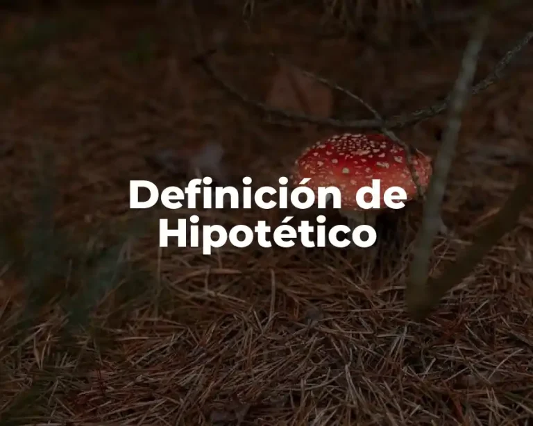 Definición de Hipotético