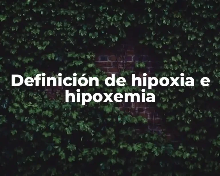 Definición de hipoxia e hipoxemia