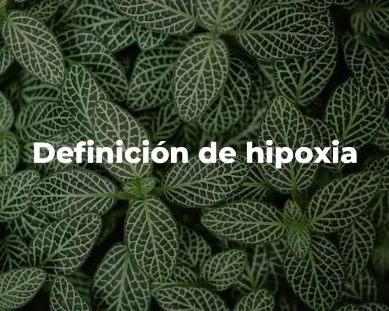 Definición de hipoxia