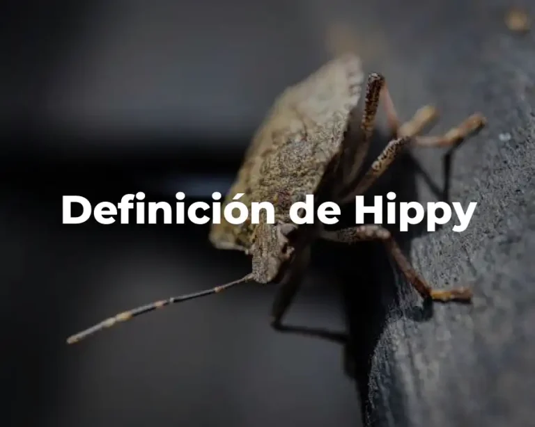 Definición de Hippy