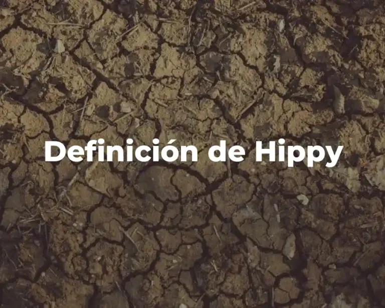 Definición de Hippy