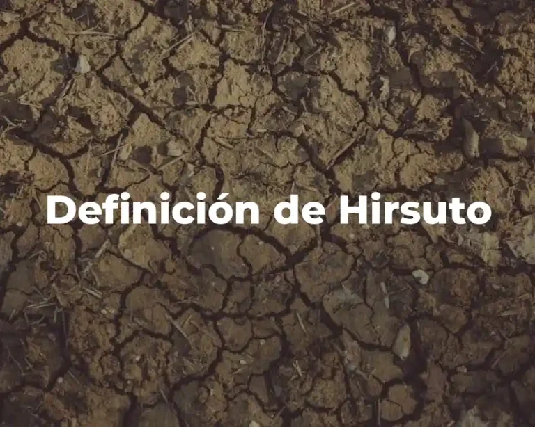Definición de Hirsuto
