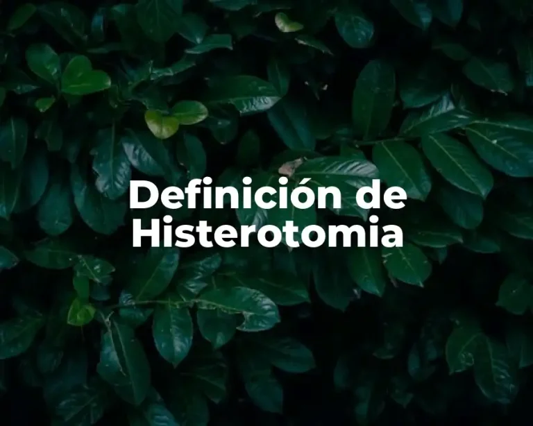 Definición de Histerotomia