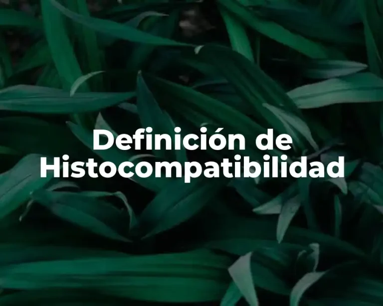 Definición de Histocompatibilidad