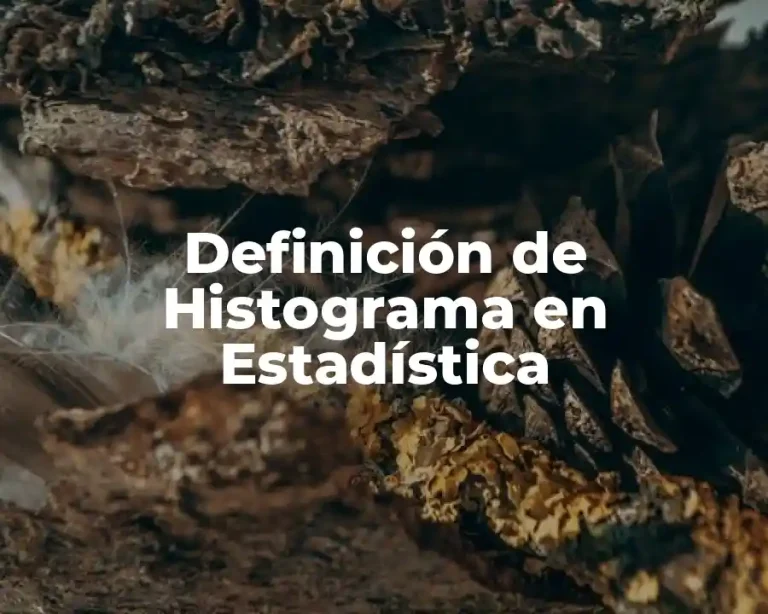 Definición de Histograma en Estadística
