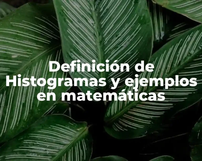 Definición de Histogramas y ejemplos en matemáticas