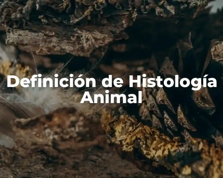 Definición de Histología Animal