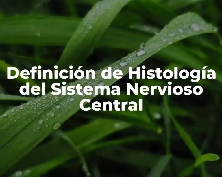 Definición de Histología del Sistema Nervioso Central