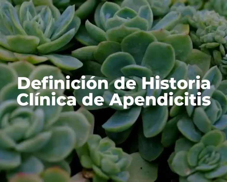 Definición de Historia Clínica de Apendicitis