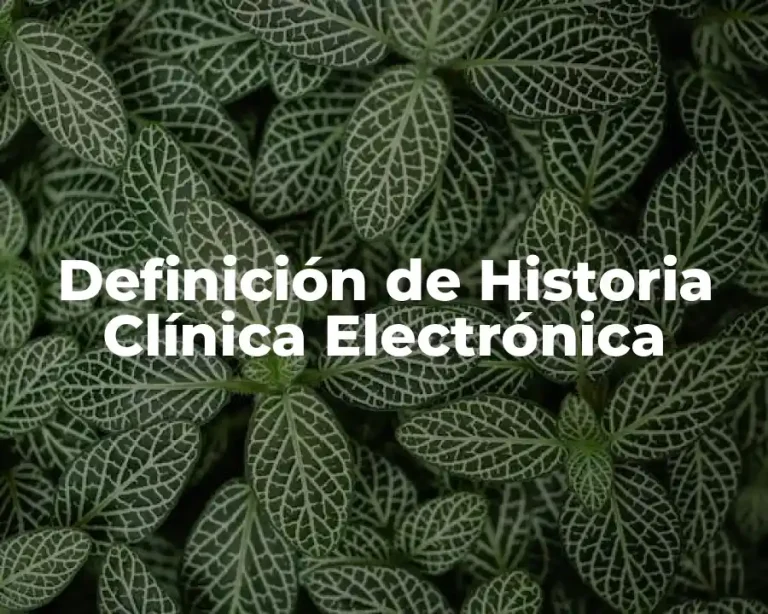 Definición de Historia Clínica Electrónica