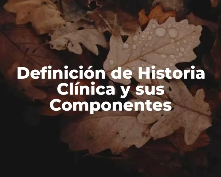 Definición de Historia Clínica y sus Componentes