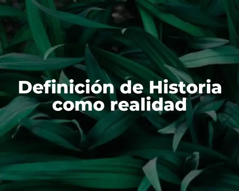 Definición de Historia como realidad