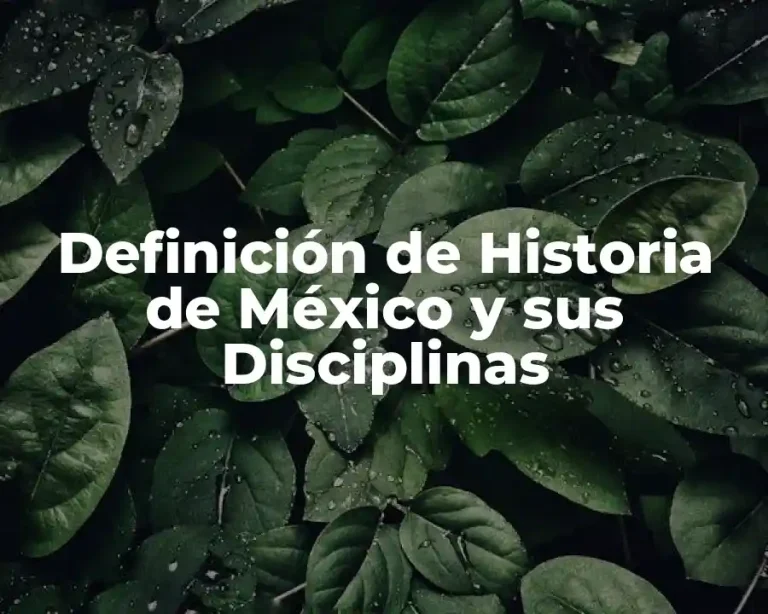 Definición de Historia de México y sus Disciplinas