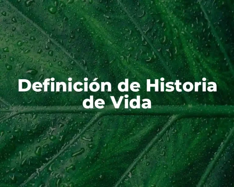 Definición de Historia de Vida