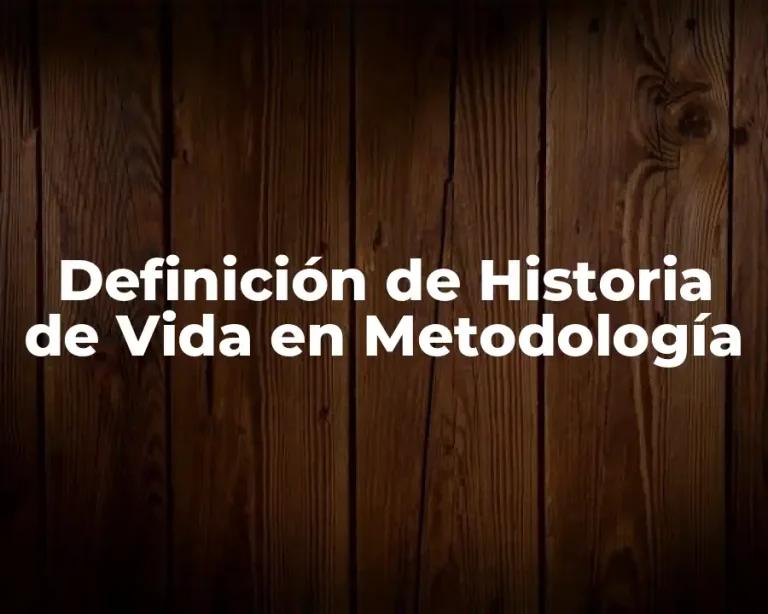 Definición de Historia de Vida en Metodología