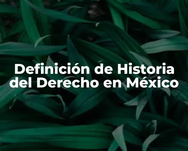 Definición de Historia del Derecho en México