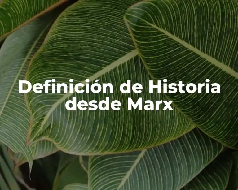 Definición de Historia desde Marx