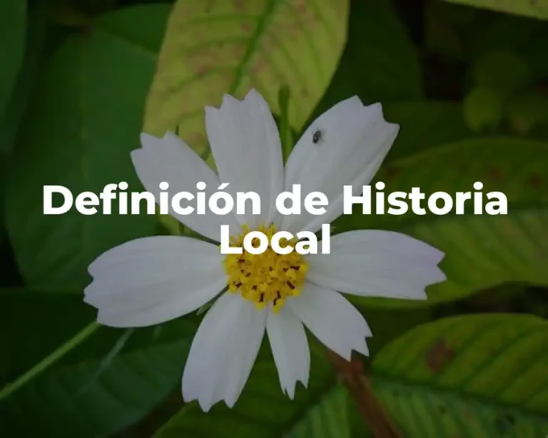 Definición de Historia Local