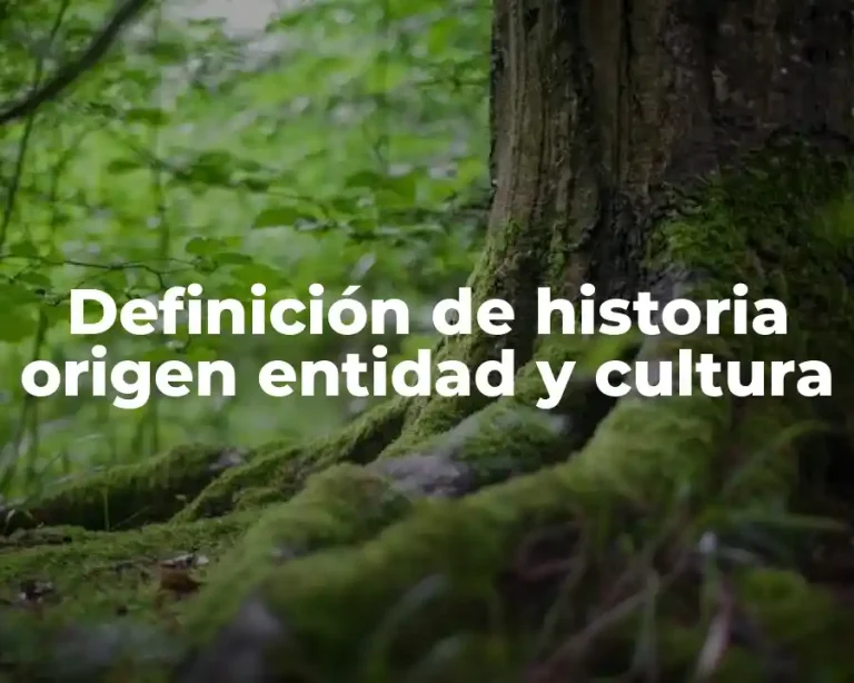 Definición de historia origen entidad y cultura