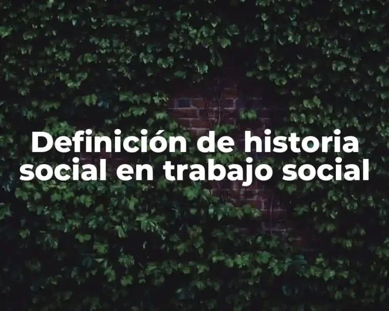 Definición de historia social en trabajo social