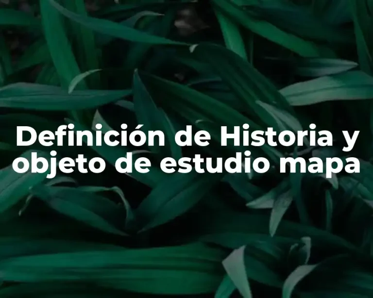 Definición de Historia y objeto de estudio mapa