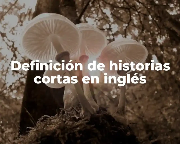 Definición de historias cortas en inglés