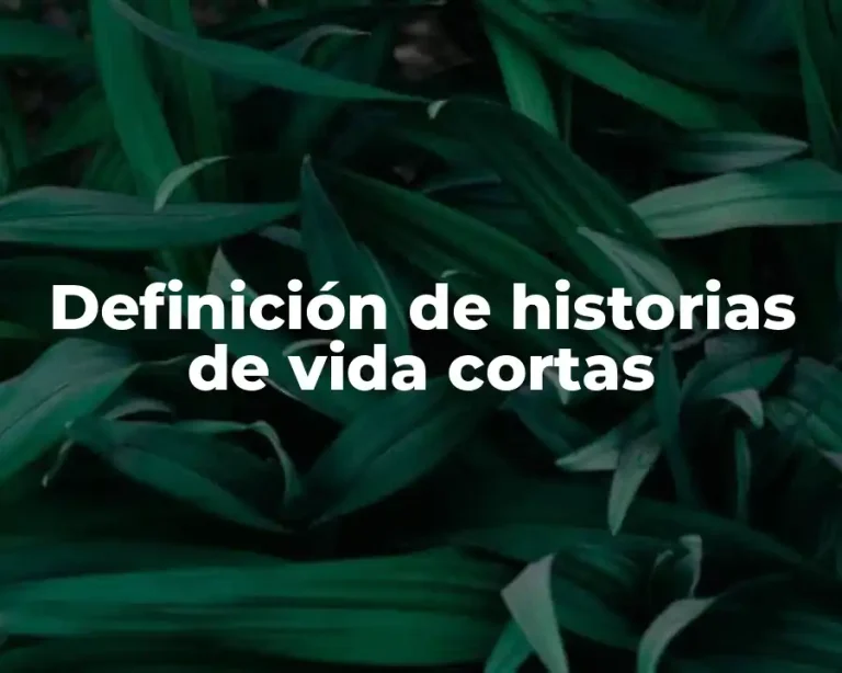 Definición de historias de vida cortas