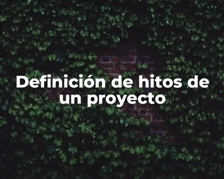 Definición de hitos de un proyecto