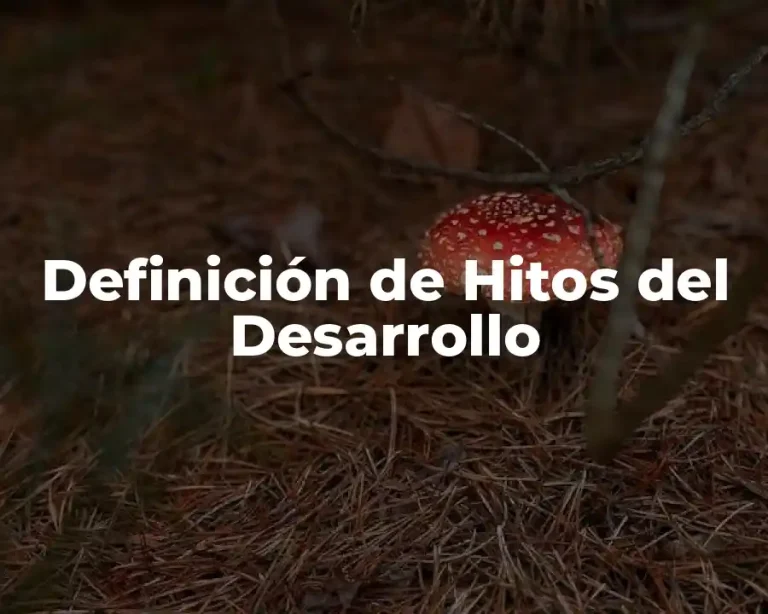 Definición de Hitos del Desarrollo