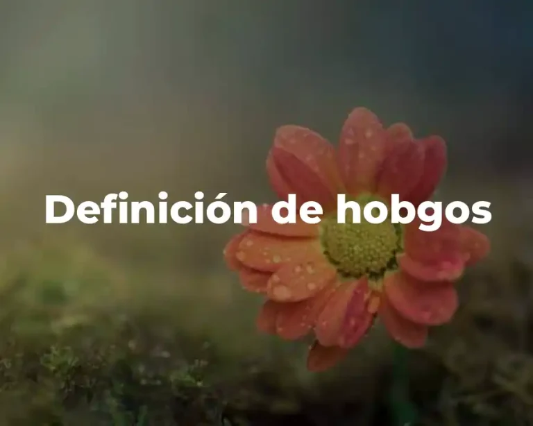 Definición de hobgos