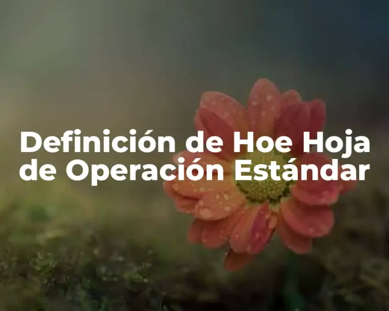 Definición de Hoe Hoja de Operación Estándar