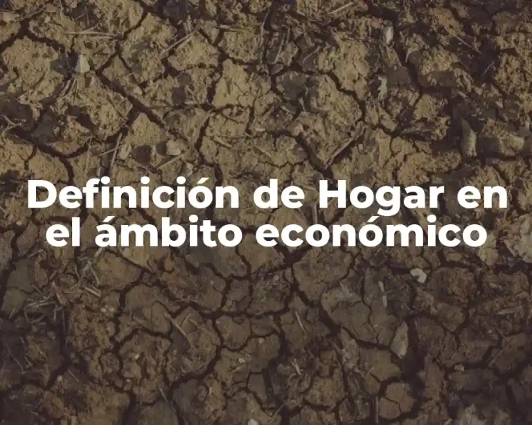 Definición de Hogar en el ámbito económico