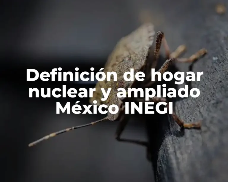Definición de hogar nuclear y ampliado México INEGI