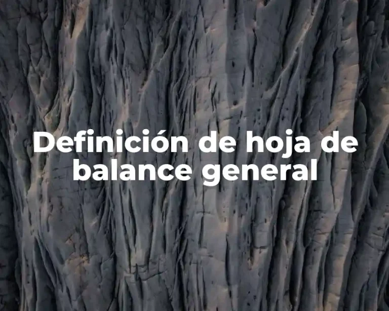 Definición de hoja de balance general