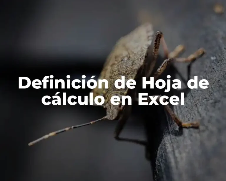 Definición de Hoja de cálculo en Excel