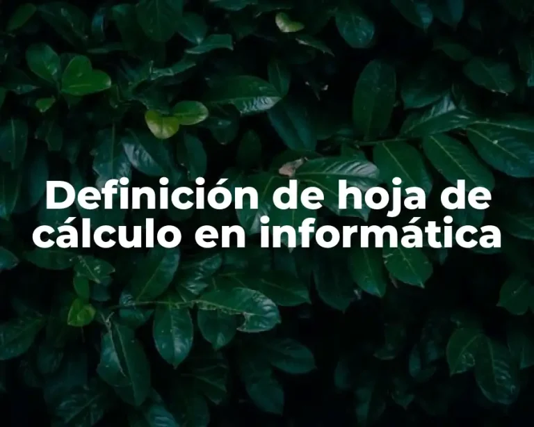 Definición de hoja de cálculo en informática