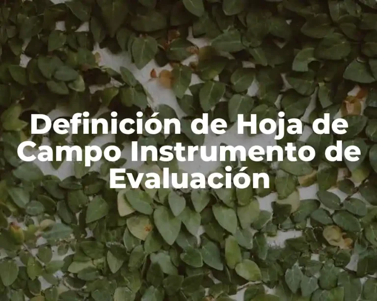 Definición de Hoja de Campo Instrumento de Evaluación