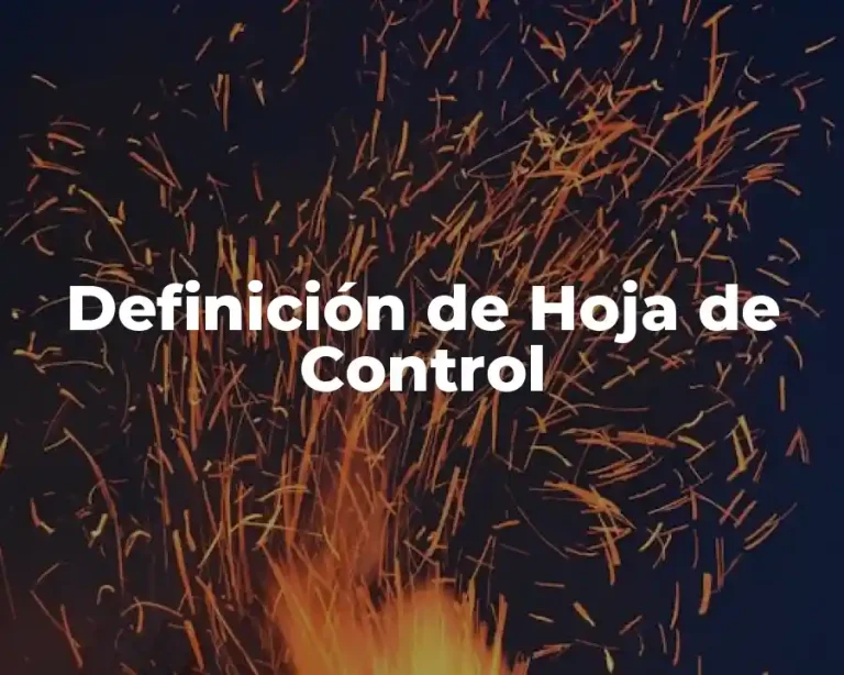 Definición de Hoja de Control